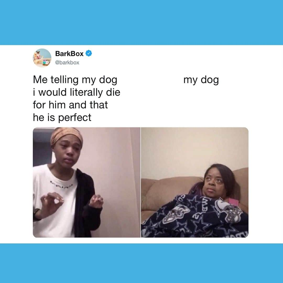 BarkBoxさんのインスタグラム写真 - (BarkBoxInstagram)「me: you are so brave, and perfect, and don't let anybody tell you otherwise.⠀ ⠀ ⠀ my dog: mom you're scaring me」6月7日 21時10分 - barkbox