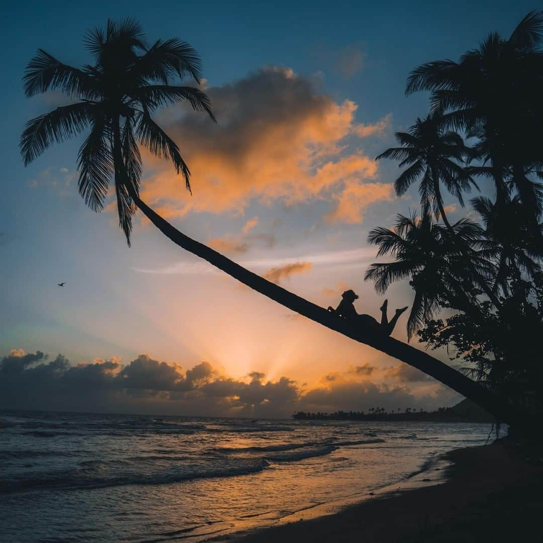 Visit The USAさんのインスタグラム写真 - (Visit The USAInstagram)「Find Puerto Rico's sweetest sunsets in Yabucoa, known as "The City of Sugar", where you can enjoy the beach and forest without the crowds. What coastal cities are on your must-see list in the USA? #UnitedStories  Follow #UnitedStories as we spend the year collecting unique stories from across the country with our mobile content creation labs.」6月7日 22時00分 - visittheusa