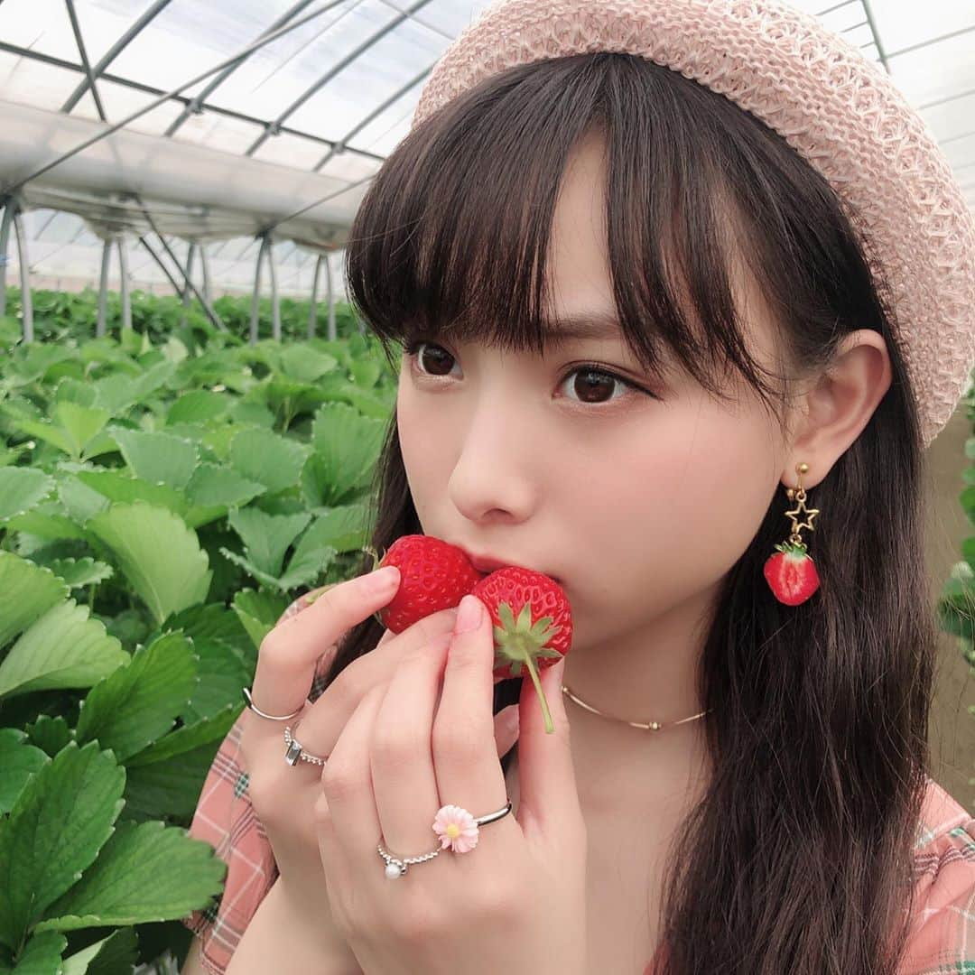 梅山恋和さんのインスタグラム写真 - (梅山恋和Instagram)「#557 #GGSオフショット #いちご🍓 #岡山 #美果美香 #甘くて美味しい #白いいちご🍓 #ピンクのベレー帽 #おもち映え」6月7日 22時14分 - cocona_umeyama