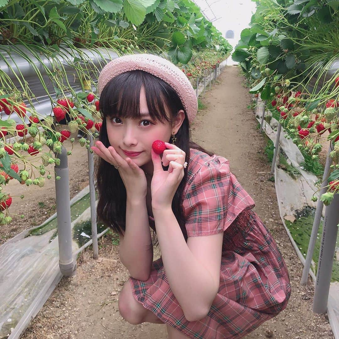 梅山恋和さんのインスタグラム写真 - (梅山恋和Instagram)「#557 #GGSオフショット #いちご🍓 #岡山 #美果美香 #甘くて美味しい #白いいちご🍓 #ピンクのベレー帽 #おもち映え」6月7日 22時14分 - cocona_umeyama