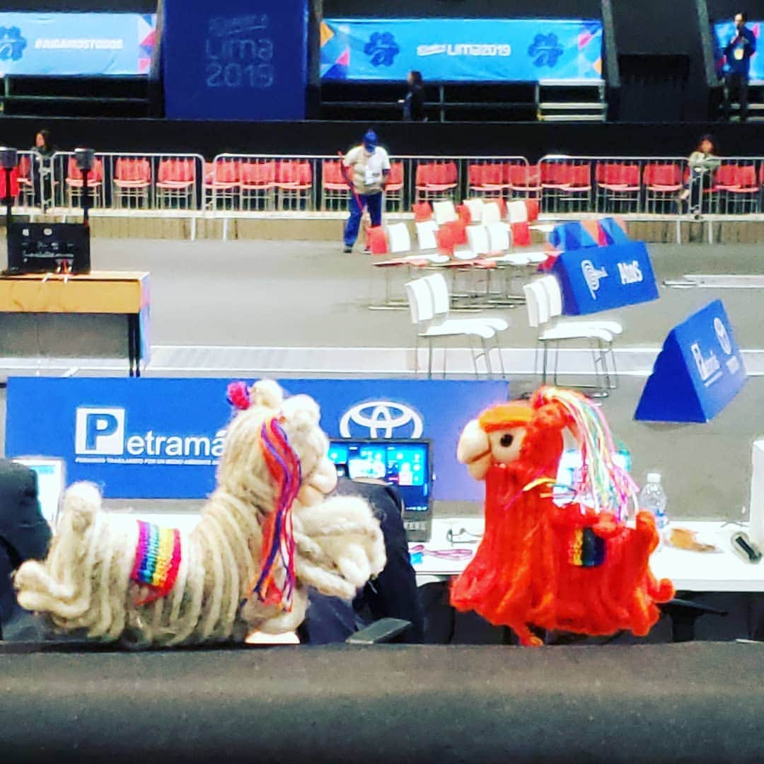 PJクォンさんのインスタグラム写真 - (PJクォンInstagram)「Nothing says 'Peru' like Baby Alpaca :) these 2 are getting ready to start #fencing #testevent #panamericanos Rumbo a #lima2019 @vanwagner_productions」6月7日 22時52分 - pjkwong