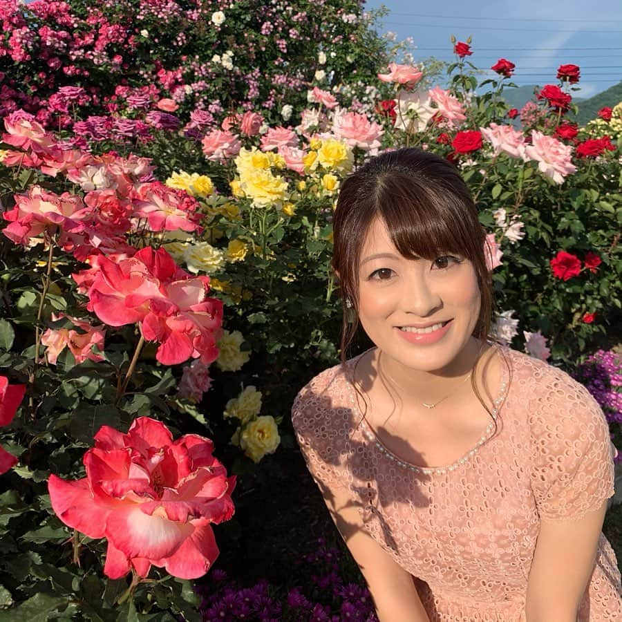 小宮山瑞季さんのインスタグラム写真 - (小宮山瑞季Instagram)「昨日ニュース中継でお伝えしたバラ🌹✨ 中野市の一本木公園は、まさに今が見頃です！！！ 850品種3000株のバラは、圧巻！ しかも市民の皆さんの手によって、綺麗に維持されてるそう◡̈⃝︎⋆︎* 本当に素敵でした💓 ・ このバラまつりを盛り上げるために大活躍したご当地ヒーローが、倍増戦士ロゼ！ 地元の魅力を倍増させるために誕生したんです★ ・ これからも目が離せません👀✨ バラまつりは、今月9日までです！ ・ #中野市 #バラ #rose #バラまつり #一本木公園 #皇室 #ゆかりのバラも #バラソフトクリーム #中継 #ニュース #花 #flower #夏 #summer #綺麗 #ヒーロー #ご当地 #hero #眩しくて #頑張って #目を開く #長野放送 #アナウンサー #小宮山瑞季」6月7日 23時22分 - komiyama_mizuki