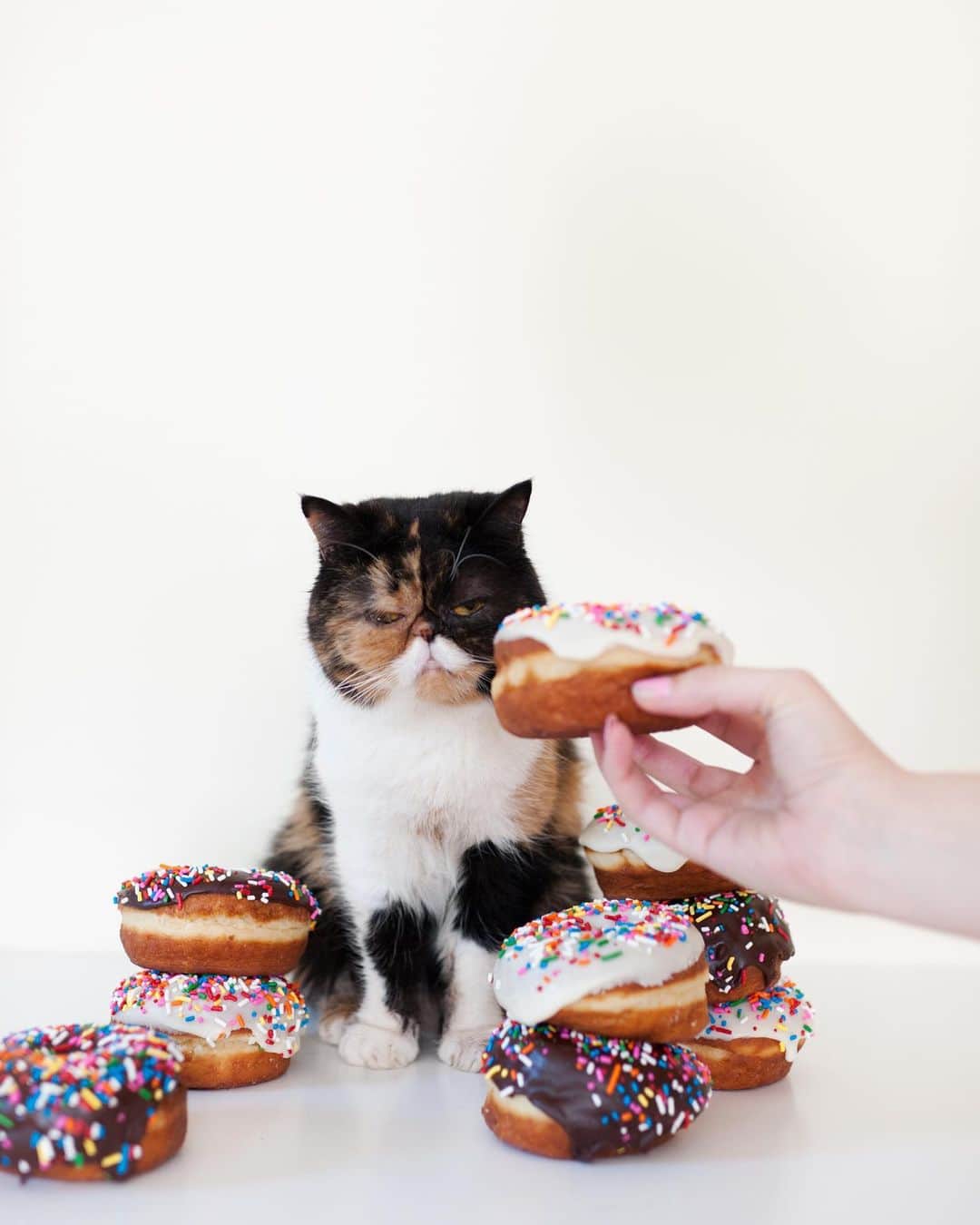 のインスタグラム：「Happy #NationalDonutDay from Donut Queen P! 👑🍩」