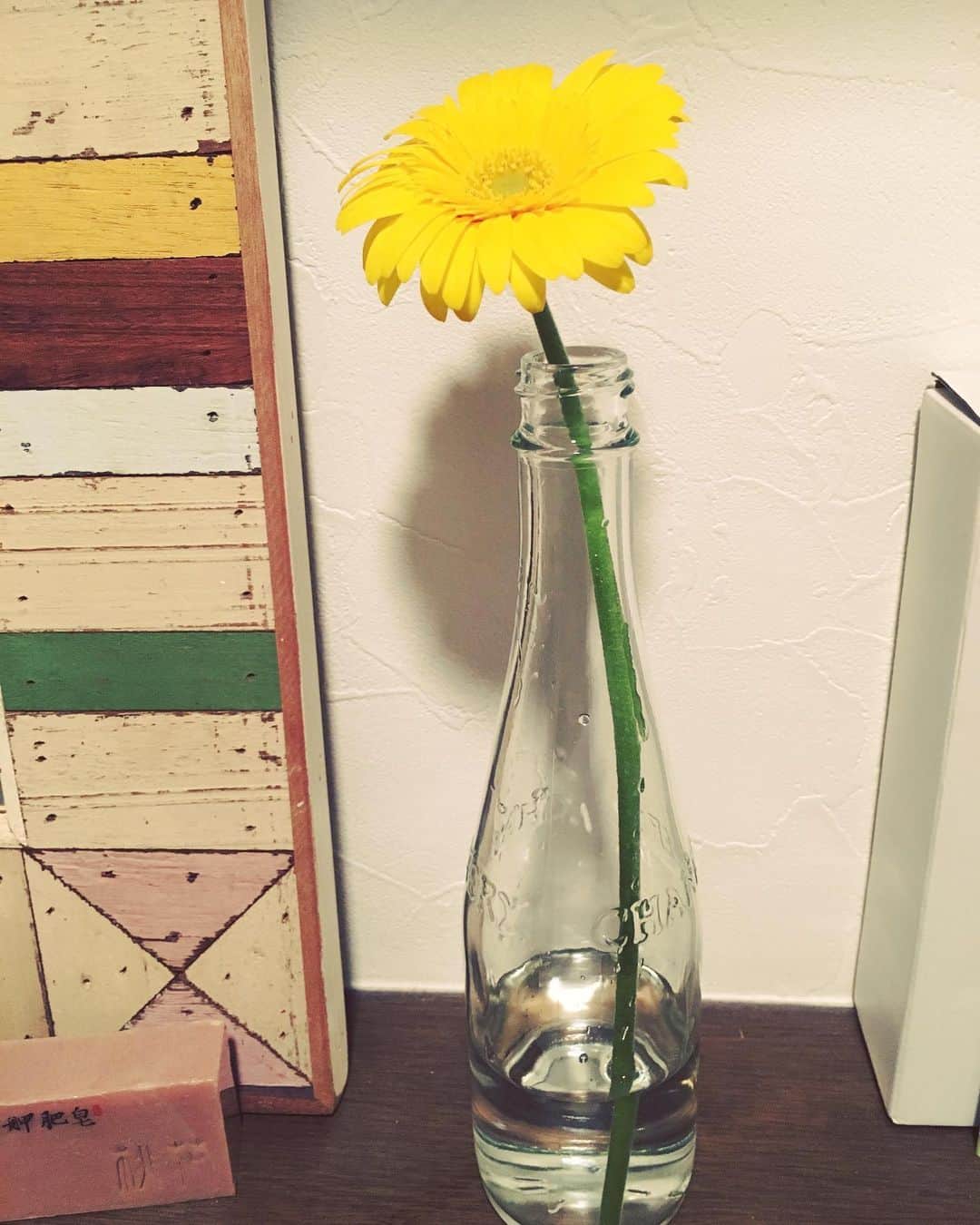 朝見心のインスタグラム：「(∵) お花貰った 自分の周りには 優しい人がたくさんいてくれて すごく嬉しい ありがとう ちなみに左下に写ってる石鹸は 諒子ちゃんからのプレゼント ほんま優しい人に囲まれて幸せやな あたしもお返ししていかないと！」