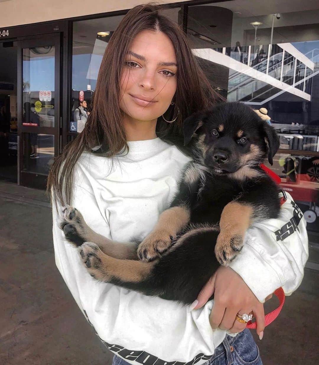 Cosmopolitanさんのインスタグラム写真 - (CosmopolitanInstagram)「It’s @emrata’s birthday, which is nice, but also here’s her cute pooch Colombo 🐶」6月7日 23時56分 - cosmopolitan