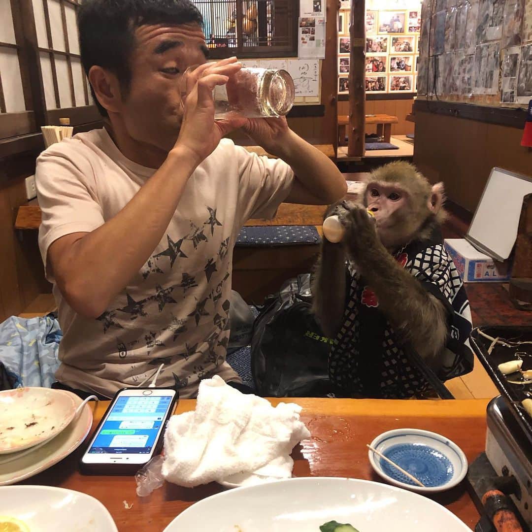 猫ひろしさんのインスタグラム写真 - (猫ひろしInstagram)「#今日のニャー #宇都宮猿のいるお店かやぶきでニャー #今日は猿と猫のいるお店ニャー #ご飯もめちゃくちゃ美味しくて猿とも仲良くなれて満足ニャー #猿はヤクルトが大好きだったニャー」6月8日 1時15分 - cat_hiroshi