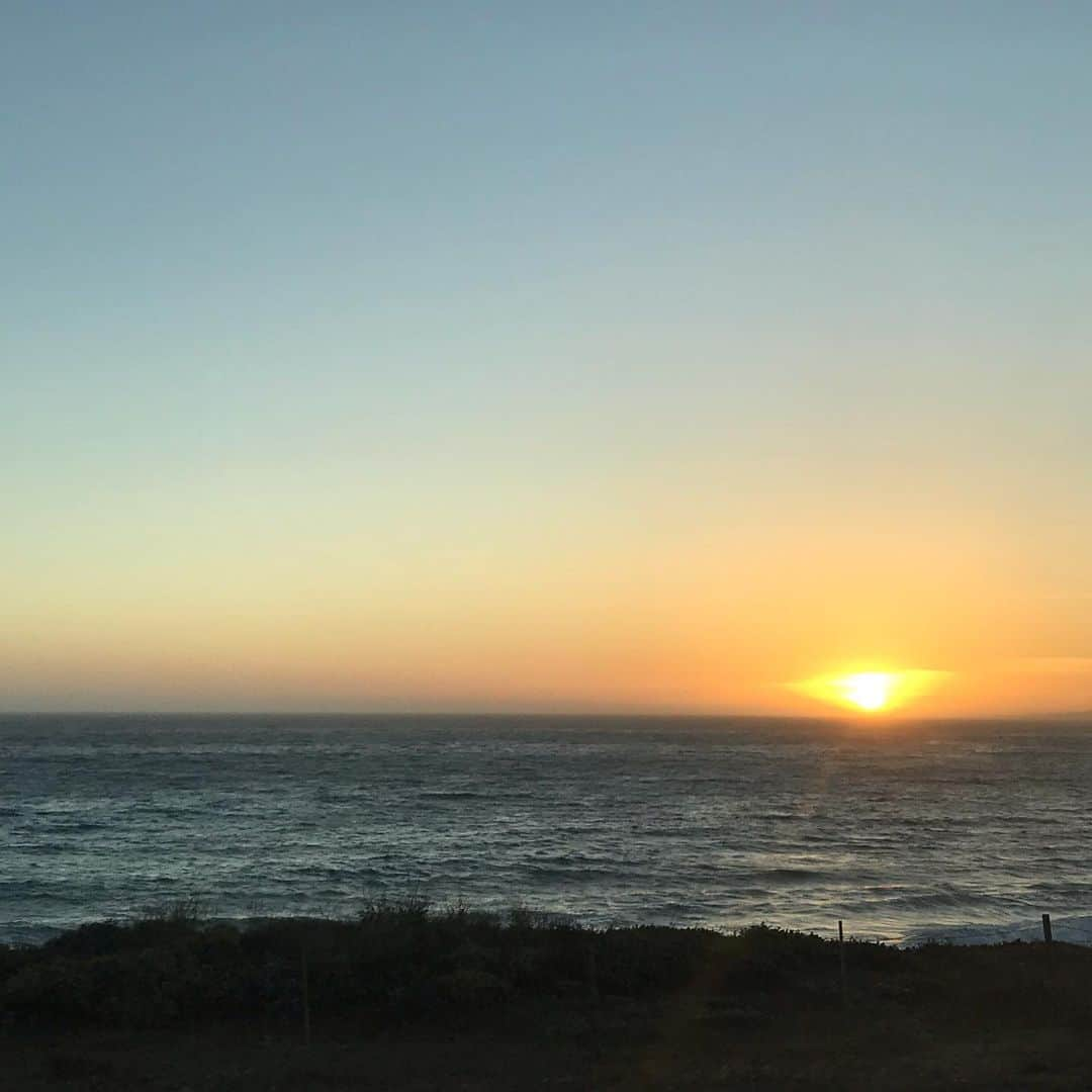 伊藤大司さんのインスタグラム写真 - (伊藤大司Instagram)「BEAUTIFUL✨✨✨ #California  #Ocean  #WildSeaLions  #Sunset  #SR1」6月8日 2時04分 - taishito