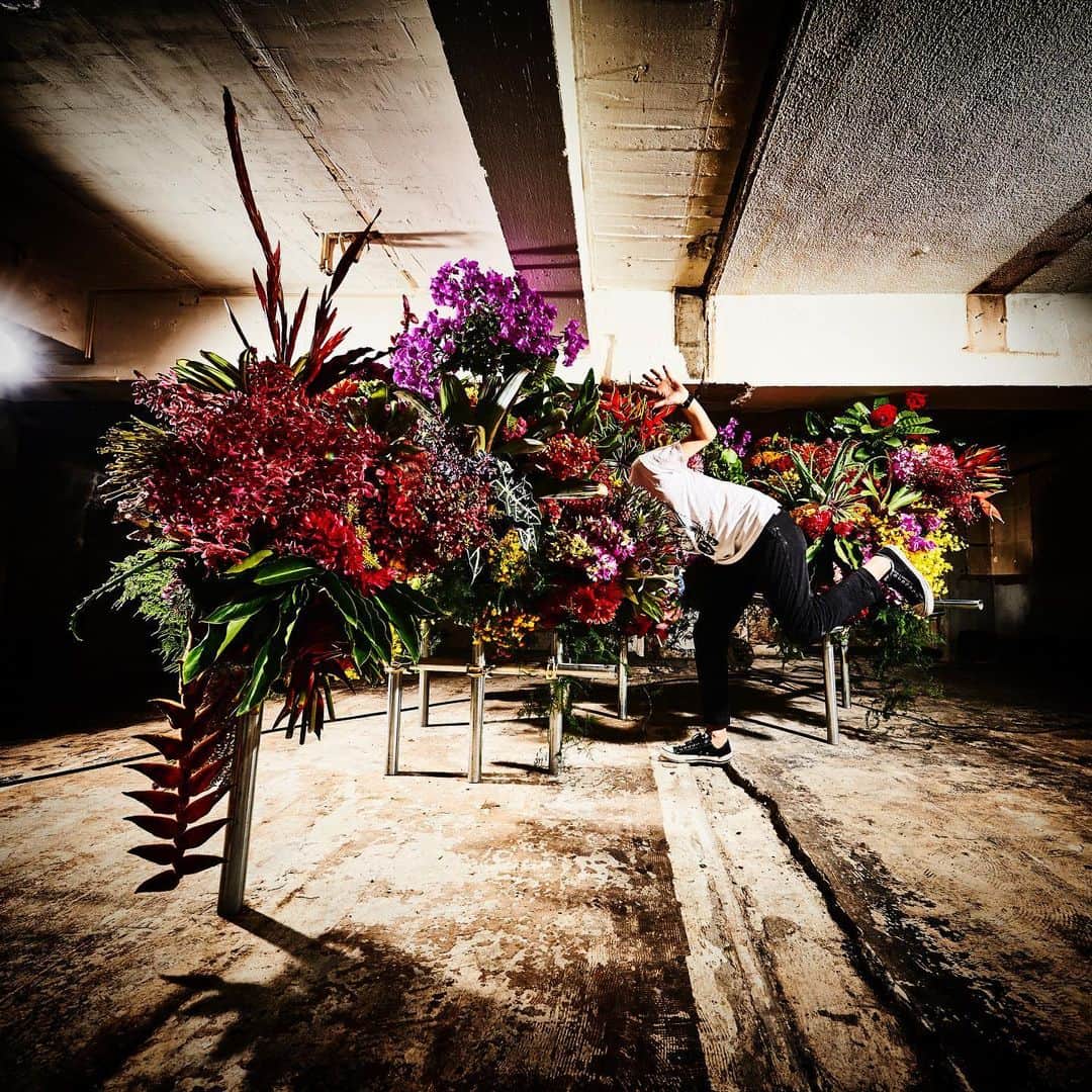 東信さんのインスタグラム写真 - (東信Instagram)「Botanical Sculpture for Encyclopedia of Flowers 4  We are delighted to announce our 2 days exhibition, which celebrating the launch of our new book “Encyclopedia of Flowers 4”. Date : ‪June 8-9‬ (Sat/Sun), 2019 Place : B1F/ 2-11-6, Motoazabu, Minato-ku, Tokyo Time : ‪13:00-20:00pm‬ * You can buy the book there.  このたび、AMKKでは『Encyclopedia of Flowers 4』の発売を記念して 2日間限定の特別エキシビジョン “Botanical Sculpture” を開催致します。 シリーズの創作開始から10年の時を経てもなお、花の美を追求し続けて辿り着いたシリーズ第4弾。書籍の中の花々と、生の植物の息づかいを是非間近でご覧ください。 ※ 展示と合わせて書籍の販売も致します。  #tokyo#photography#flowers#botanicalart#botanicalphotography#makotoazuma#azumamakoto #東信花樹研究所 #amkk #amkkproject #flowers #flowerart #花 #shiinokishunsuke #encyclopediaofflowers#東信#椎木俊介#植物図鑑」6月8日 13時12分 - azumamakoto