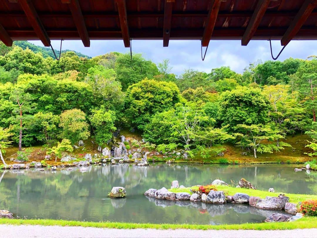 keigoさんのインスタグラム写真 - (keigoInstagram)「豆腐が美味しいです。 🌿☘️🍀🍃🌱🌳🌲 . #天龍寺 #京都 #kyoto」6月8日 13時59分 - k5fuwa