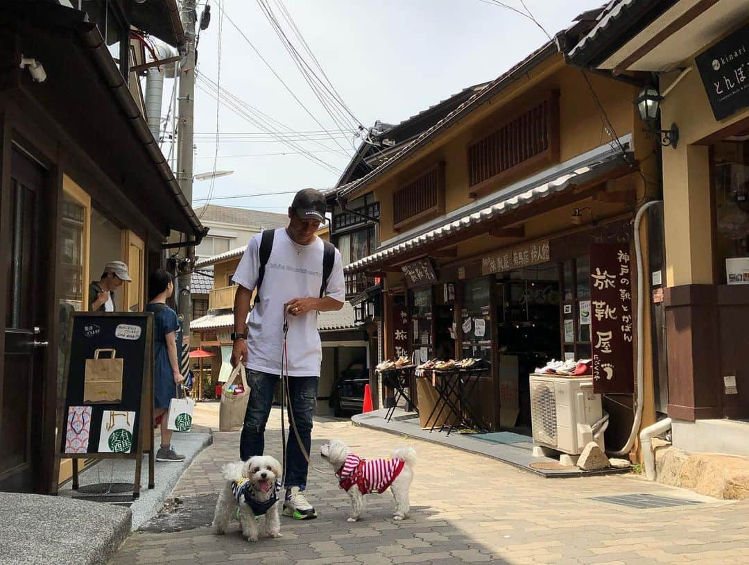 松田陸さんのインスタグラム写真 - (松田陸Instagram)「⚽️ この間のオフで有馬温泉にペットと泊まれるホテルに行ってきました‼︎ #有馬温泉 #ココラキ」6月8日 14時07分 - riku_matsuda_02_official