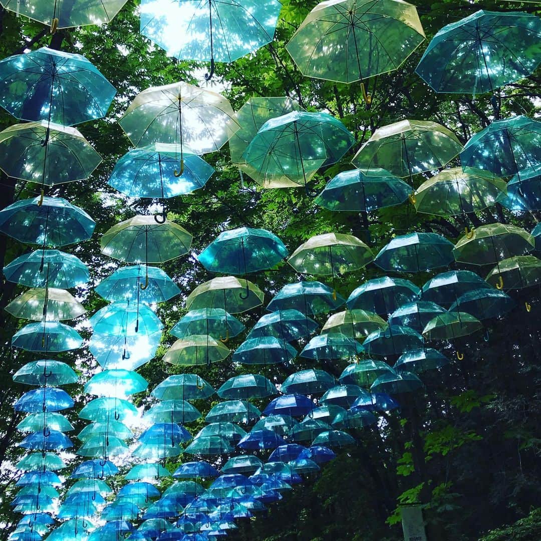 ハチミツ二郎さんのインスタグラム写真 - (ハチミツ二郎Instagram)「umbrella  #ムーミンバレーパーク」6月8日 14時12分 - jirohachimitsu