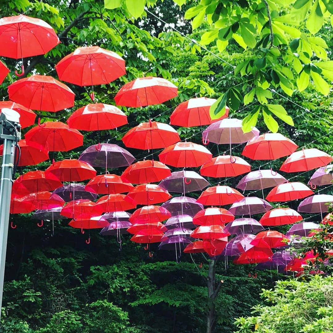 ハチミツ二郎さんのインスタグラム写真 - (ハチミツ二郎Instagram)「umbrella  #ムーミンバレーパーク」6月8日 14時12分 - jirohachimitsu