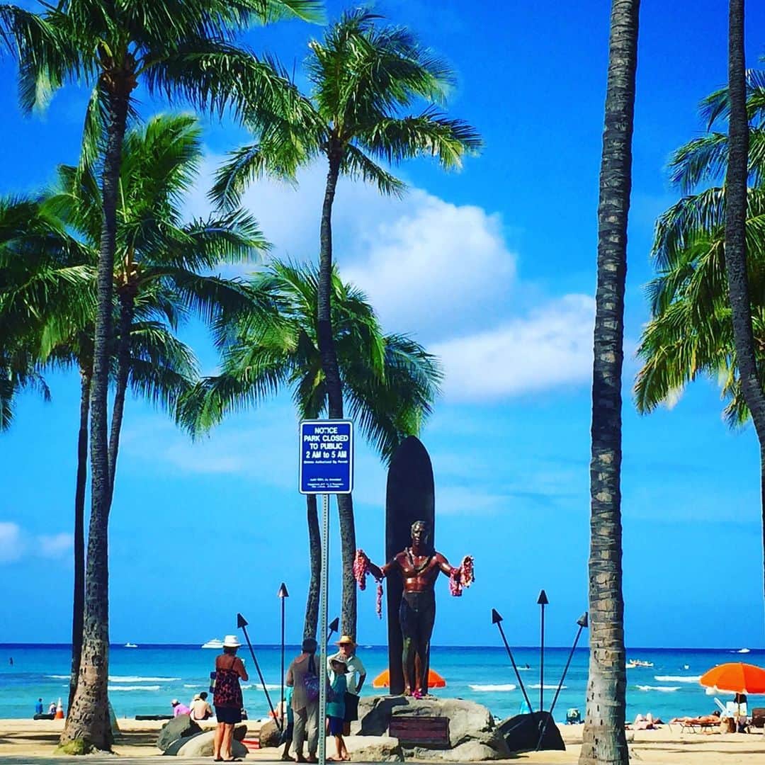 のインスタグラム：「Waikiki Carnival  #panpacificfestival  今日は19時から祭インハワイのブロックパーティー。 カラカウア大通りはお祭りです。 ALOHATABLE waikikiは本日も深夜1時まで営業！お祭り後も楽しんで頂けます！ #matsuriinhawaii #祭りインハワイ #waikikicarnival #bondance #kalakauaave #blockparty #waikikibeach #dukekahanamoku #festival #carnival #祭 #waikikilatenight #waikikidinner #hawaiianrestaurant #hawaiitrip #ハワイ旅行 #allhawaiijp」