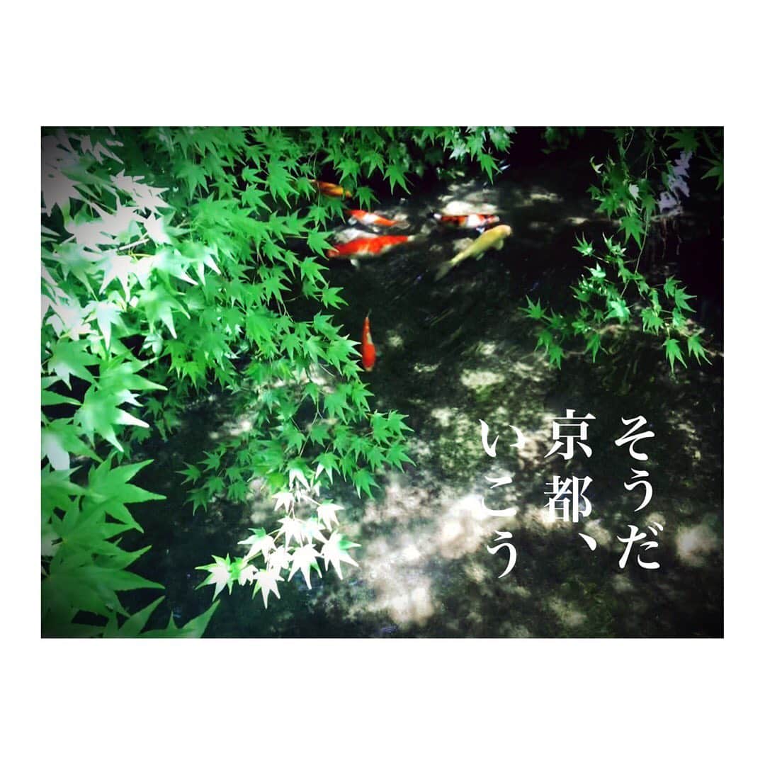築山可奈さんのインスタグラム写真 - (築山可奈Instagram)「そうだ、京都、いこう。 八瀬の『瑠璃光院』 はじめて行ったけどお庭が素敵すぎて…写経もしてお茶もいただいて満喫しました😌✨ 気がつけば2時間以上いましたw あー癒された～💕 #瑠璃光院春の特別拝観 #瑠璃光院 #京都 #京都さんぽ #そうだ京都行こう #instagramjapan」6月8日 8時42分 - kana.tsukiyama