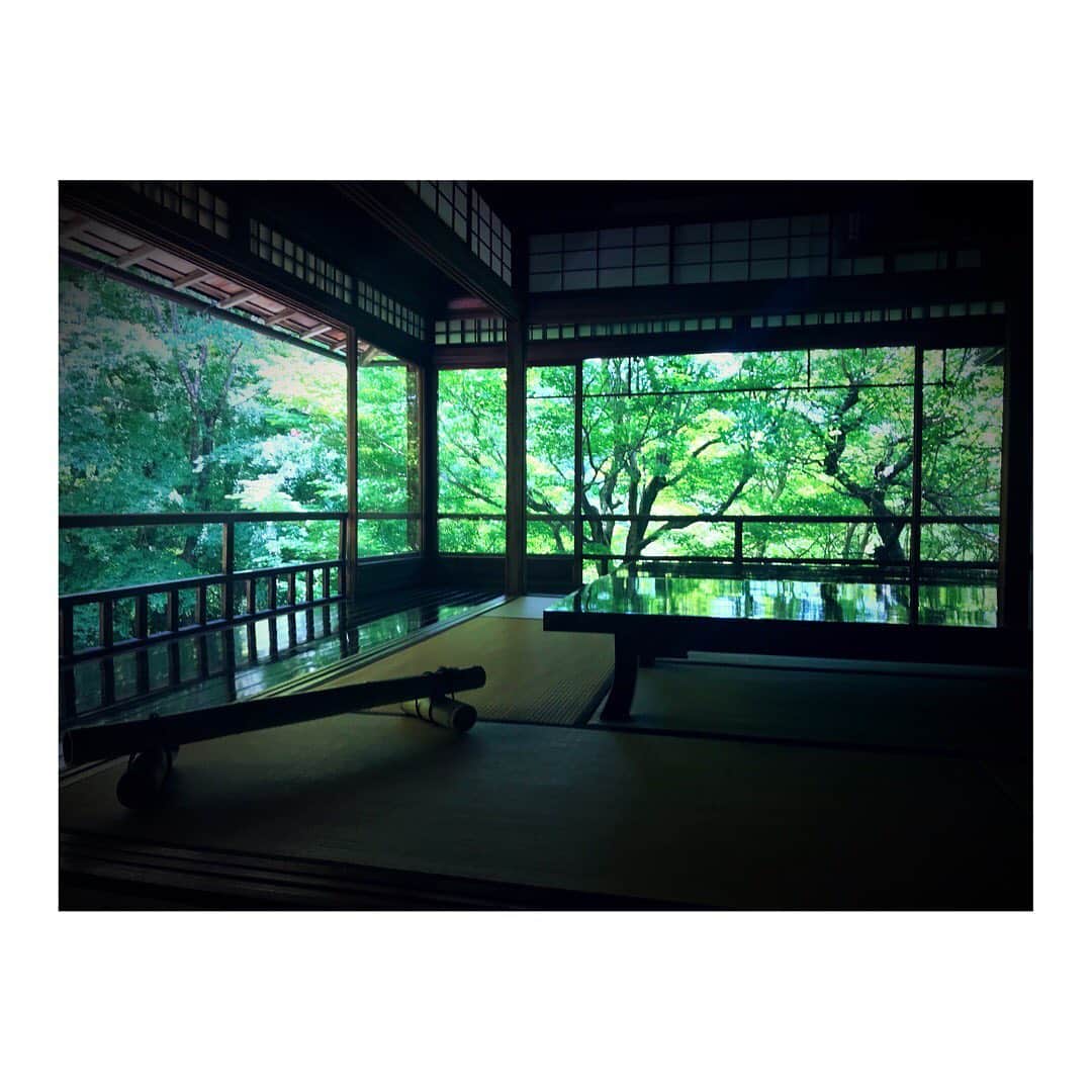 築山可奈さんのインスタグラム写真 - (築山可奈Instagram)「そうだ、京都、いこう。 八瀬の『瑠璃光院』 はじめて行ったけどお庭が素敵すぎて…写経もしてお茶もいただいて満喫しました😌✨ 気がつけば2時間以上いましたw あー癒された～💕 #瑠璃光院春の特別拝観 #瑠璃光院 #京都 #京都さんぽ #そうだ京都行こう #instagramjapan」6月8日 8時42分 - kana.tsukiyama