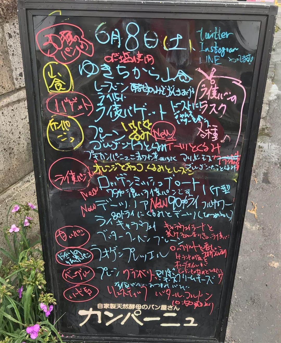 魔女菅原のグルメインスタ