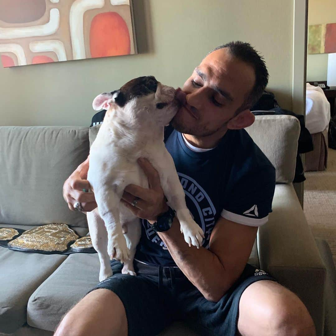 Manny The Frenchieさんのインスタグラム写真 - (Manny The FrenchieInstagram)「Thanks for hanging out with me @tonyfergusonxt @xtfergie . Hope you liked the wet kisses. #ufc #chicago #ufcchicago #ufc238 #chitown @ufc」6月8日 9時25分 - manny_the_frenchie