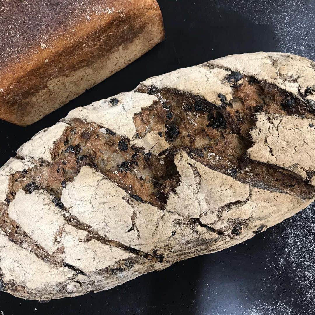 魔女菅原のグルメインスタ