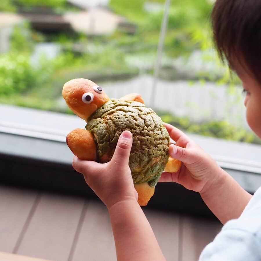 木村涼子のグルメインスタ