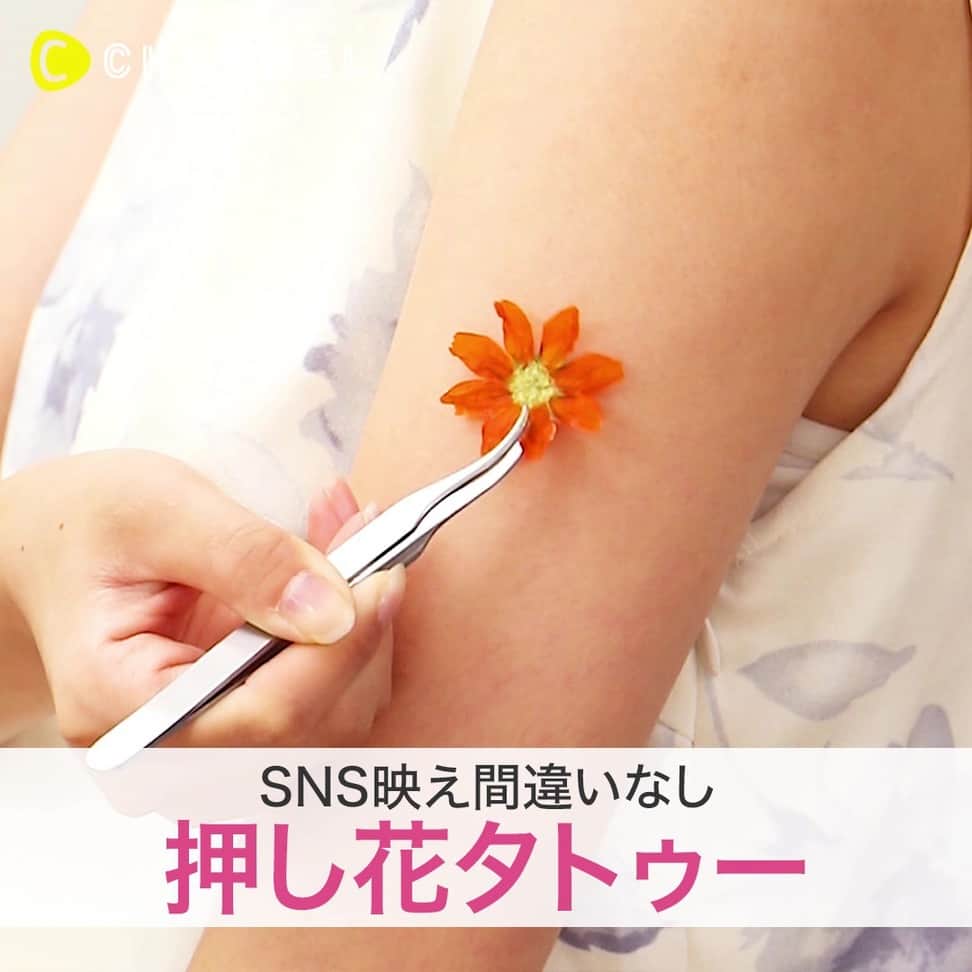 のインスタグラム：「🌼身体に”貼る”アクセサリー!?押し花タトゥーでSNS映えをGET💗🌼 . 💗Check👉 @cchannel_artandstudy 🎶 💗Follow me👉 @cchannel_girls 🎵 . 💄C CHANNELのアプリもよろしくお願いします😊💕 . 本物のお花を使って作る押し花タトゥー！ 1日遊んだあとに簡単に剥がせるので、跡に残ることなく安心して使えます！ 指にワンポイントつけると指輪として、デコルテラインに並べるとネックレスとして、 自分なりにアレンジ！SNS映えすること間違いなし💗 . 夏にぴったりの新感覚アクセサリーです！ お花に囲まれて素敵な1日にしてください♡ . ※タトゥー押し花は4-5時間持ちます。何度かヴァセリンを塗り直すと長持ちします。 . 【🌼用意する物】 ・お花 ・ヴァセリン ・アイロン . 【🌼作り方】  1.新聞紙にティッシュペーパーを広げます  2.ティッシュの上にお花を並べ、さらに上からティッシュをかぶせます  3.低温のアイロンを30-40秒秒ほど押しあてます  4.ゆっくりとティッシュを外し、お花を取ります  5.ヴァセリンをめん棒で丁寧に塗り、肌にのせたら完成です . クリッパー:勝又美蘭 @fantasia_miran . . #押し花タトゥー#ボディメイク#ファインダー越しの私の世界#花のあるくらし#インスタ映えするやつ#個性派ファッション#押し花アート#タトゥー女子#透明感#お花のある暮らし#お花のある生活#素敵女子#素敵女子project#夏にぴったり#個性派#大人女子コーデ#夏ファッション#爽やかコーデ#体育祭#学園祭#女子高生#毎日の可愛いをあなたに#可愛いは作れる#清楚系#フラワーアレンジ#花が好き#素敵な日#記念日フォト#ボディペイント」