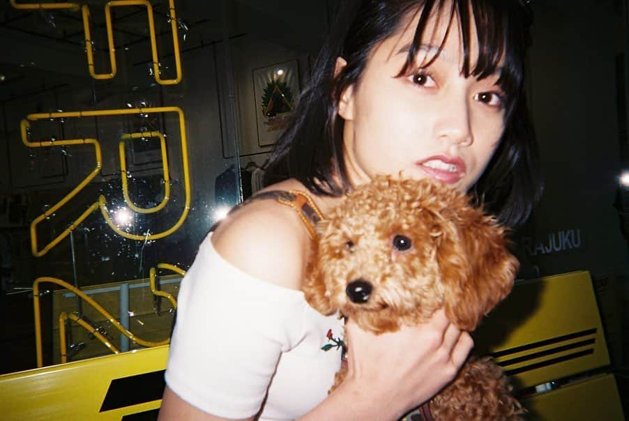 のインスタグラム：「. 首しめてるみたいになってる、、 ほんまにごめんて、、🥺🤣😭💕 お友達のお犬さんと🐶 #首しめてるわけじゃないよ  #トイプードル🐩 #お犬様  #可愛い犬 #背景は #fr2  #ぶらり #フィルム寫眞  #写ルンですのある生活  #雰囲気 #アンニュイ  #おフェロ #グランジ #ポトレ女子 #お洒落女子 #自撮り女子 #何気ない日常  #暗髪 #girlshot #grungey #grungeaesthetics  #toypoodlestagram #ibelieveinfilm  #meeee #japanesegirls  #japanstreet #portraits_life」