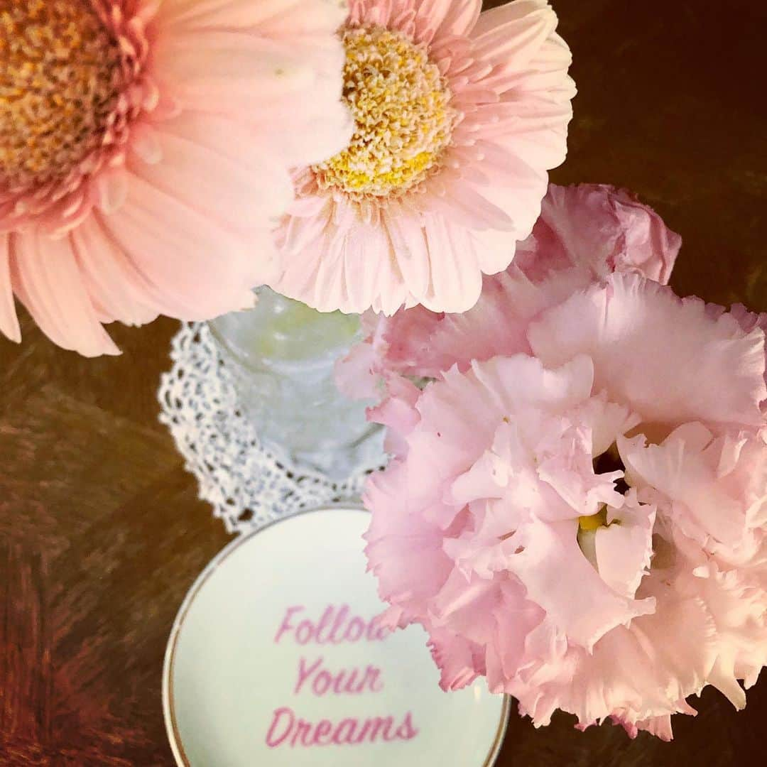 藤田朋子さんのインスタグラム写真 - (藤田朋子Instagram)「#followyourdreams  #tomokofujita #actress #flowers #pink #healing #happy #dream #dreamcomestrue #god #keepon #love  #ネバギバ #夢は叶う #諦めない #小皿 #切り花 #藤田朋子 #夢 #ドリーム #100均 #ダイソー #女優 #役者 #おてしょう  まさか 百均で、人生を教えられるとは‥ 🌸 おてしょうの小皿のメッセージに思わず固まる程 心が動いてしまった🌸 follow your dreams 君の夢を追いかけろ🌸  買おうか買うまいか  手にしたまま5分、いや、10分 結局 買いました  #名言 #志」6月8日 11時55分 - chiendormant