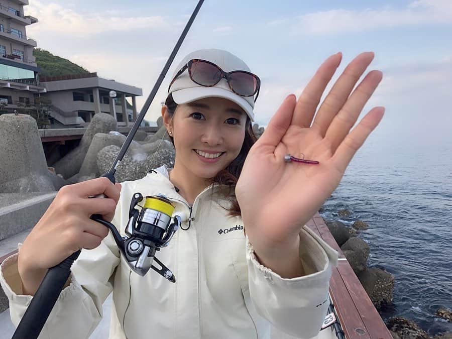関西テレビ「釣りたガール！」さんのインスタグラム写真 - (関西テレビ「釣りたガール！」Instagram)「✔︎﻿ あす6月9日(日)は釣りたガール！﻿ ﻿ 放送あります📺﻿ ﻿ 前回に引き続き、日本一のフィッシングホテルを謳う﻿ ﻿ 「淡路島観光ホテル」が舞台です♨️😻﻿ ﻿ 敷地内にあるプライベート釣り場で﻿ ﻿ 女将さんとメバリングに挑戦してきました🐟﻿ ﻿ 宿泊している部屋から1分で行けるので﻿ ﻿ 好きな時間に好きなだけ竿を出すことができ﻿ ﻿ 合間に温泉♨️やご飯🍴を堪能💙﻿ ﻿ 釣り人には至福の空間ですよ🤤﻿ ﻿ ぜひぜひご覧くださーい❣️﻿ ﻿ ﻿ #淡路島観光ホテル #女将 #上村早苗 さん #メバル #メバリング #メバルダービー #プライベート釣り場 #あわかん #女将 #釣りバカ社長 #淡路島 #兵庫県 #釣り #釣りたガール #釣り女子 #釣りガール #釣り好きな人と繋がりたい #釣り好き #海釣り #船釣り #fishing #fishinglife #angler #🎣#🐟#カンテレドーガ #gyao #tver」6月8日 12時11分 - tsurita_girl