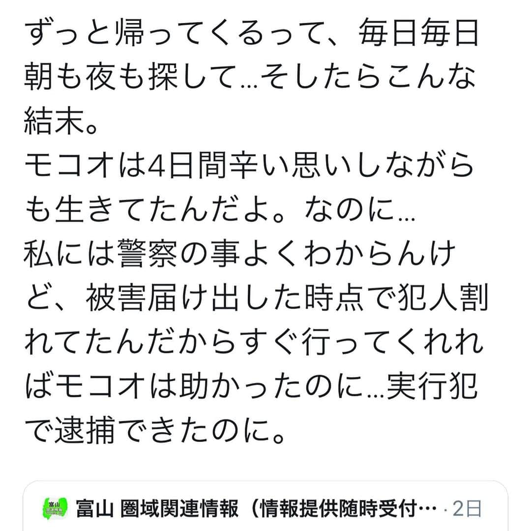 REIJIさんのインスタグラム写真 - (REIJIInstagram)「例の富山の猫連れ去り事件の飼い主さんの悲痛なツイート。まじで許せない！あのクソジジイを殺したい！警察も法律もおかしいだろ！なんでいつまで経っても動物は物扱いなんだよ！腐ってやがる！」6月8日 12時12分 - reiji_kimura