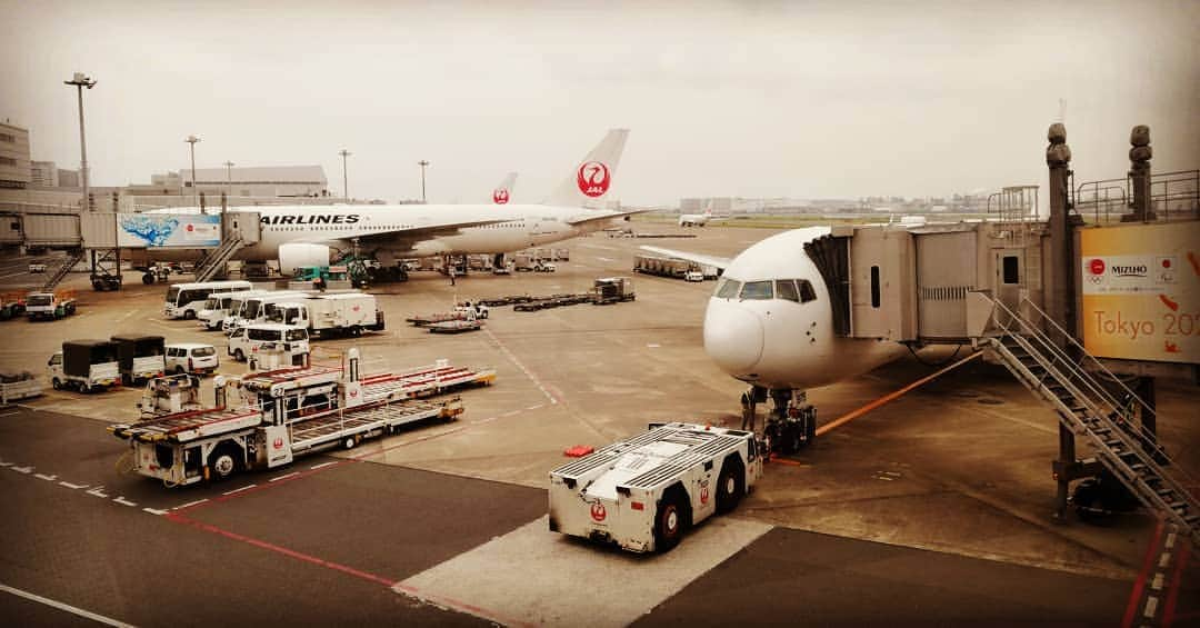 REIKAさんのインスタグラム写真 - (REIKAInstagram)「. 行ってきます( ꈍᴗꈍ)👋 . . #飛行機 #airplane #JAL #日本航空 #飛行場」6月8日 12時12分 - reika_japan