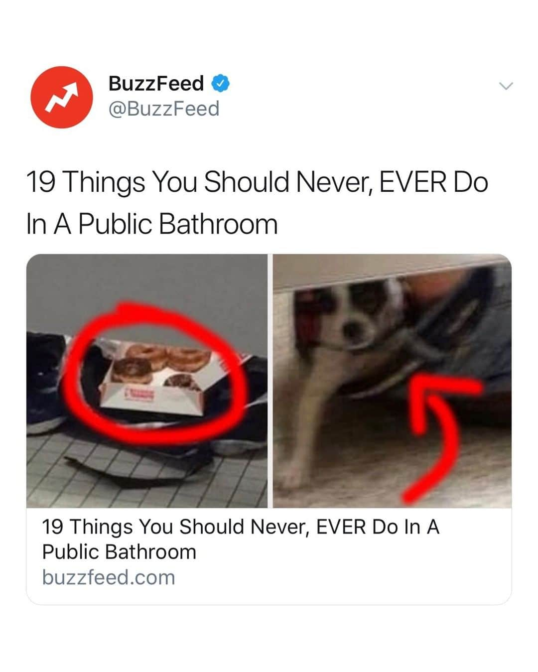 BuzzFeedさんのインスタグラム写真 - (BuzzFeedInstagram)「PUHLEASE do not do these things in a bathroom 👉 link in bio 🤢」6月8日 12時59分 - buzzfeed