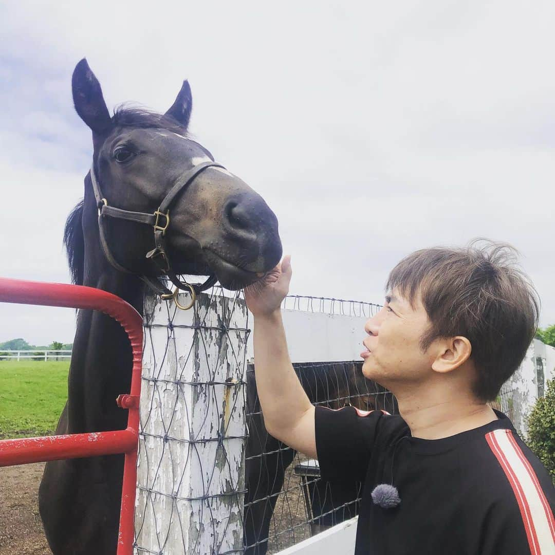 濱口優さんのインスタグラム写真 - (濱口優Instagram)「#北海道 #未来の競走馬」6月8日 23時48分 - hamaguchi_masaru