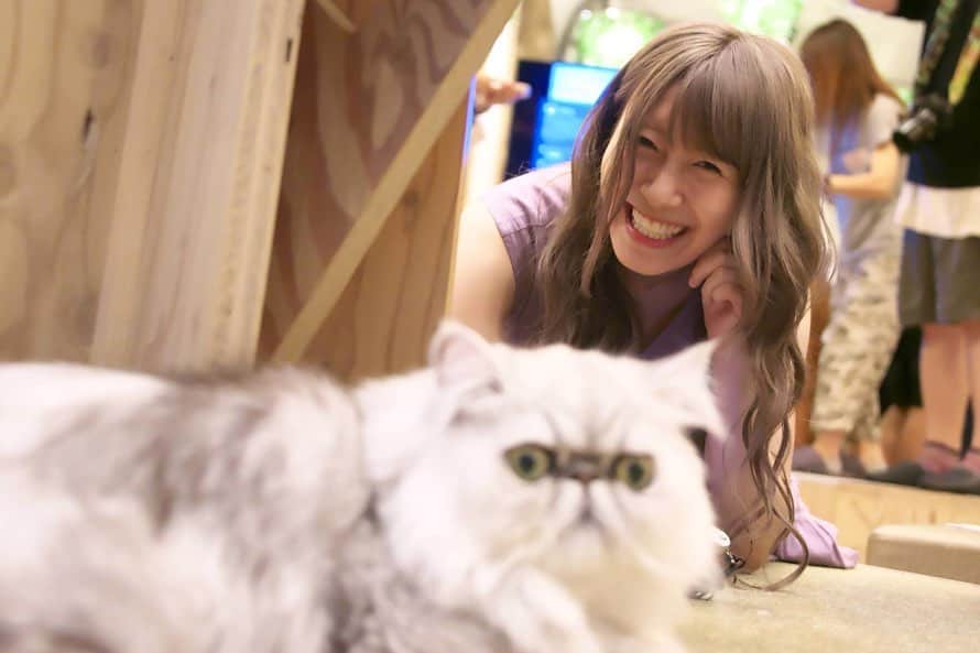 ホームランなみちのグルメインスタ