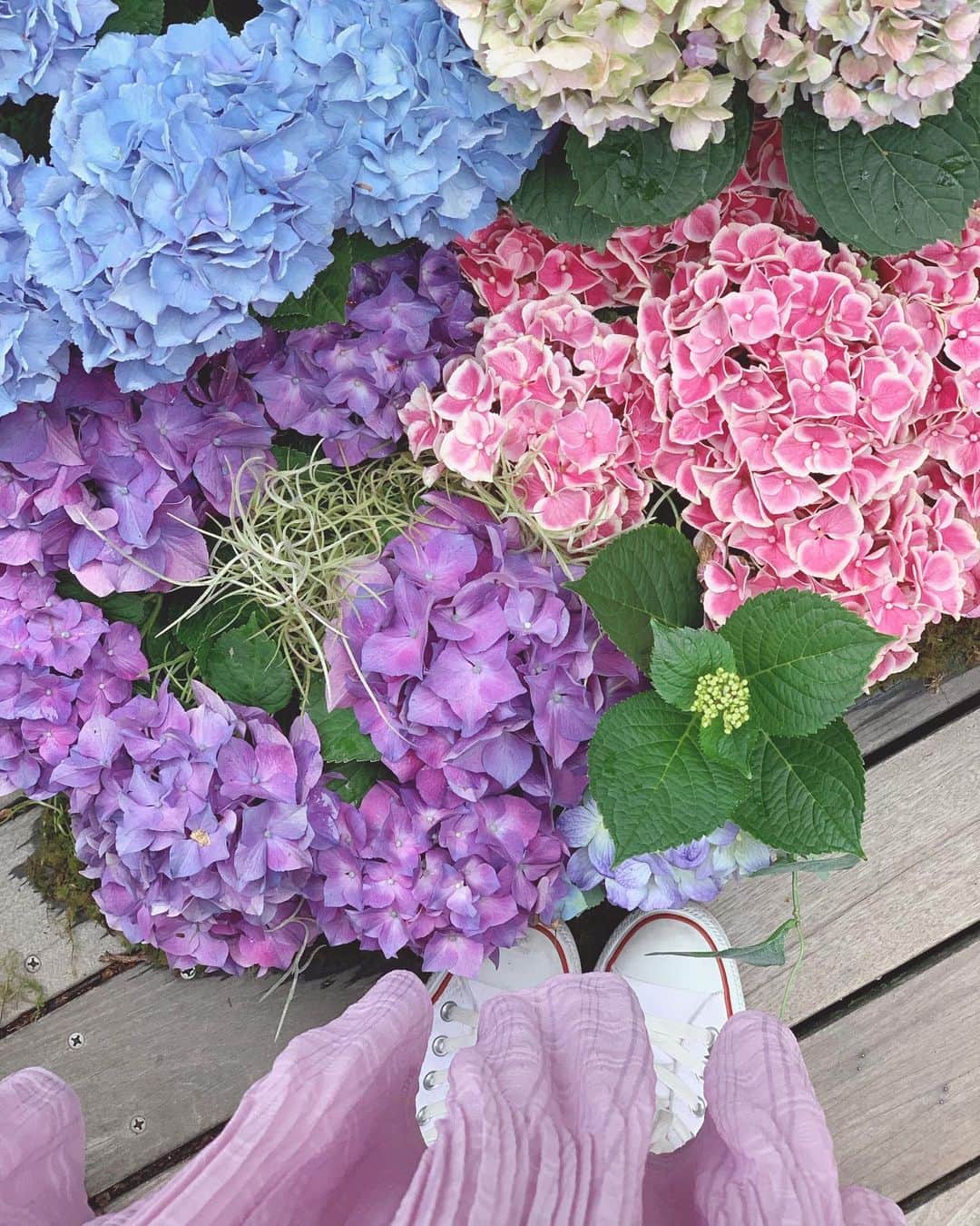 中田絵里奈さんのインスタグラム写真 - (中田絵里奈Instagram)「傘の中にもこもこな紫陽花💠 ちょうど履いてたスカートも 紫陽花カラーだったので撮ってもらいました❤︎ . ちなみに上に飾ってあッた 紫陽花は造花で下のは生花でした💠」6月8日 22時33分 - erinanakata