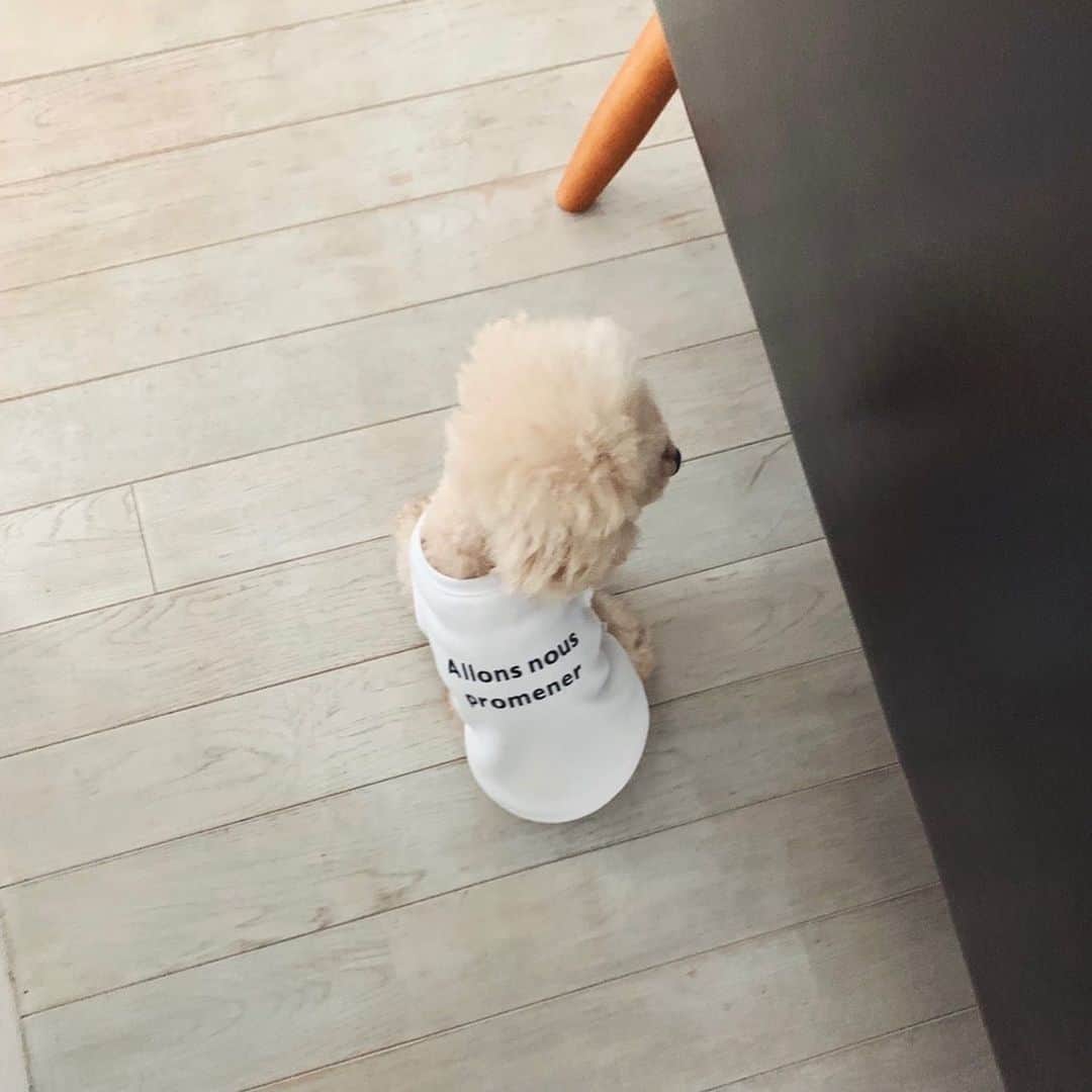 mizuのインスタグラム：「ちょこん。」