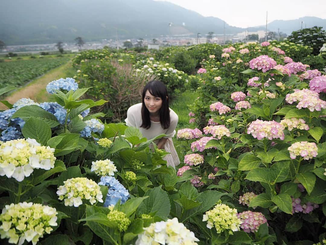 伊藤桃さんのインスタグラム写真 - (伊藤桃Instagram)「「小田急全駅ものがたり」読んでいただけましたか？🙏 今日は、小田急線開成駅にて行われている#開成町あじさいまつり に妹といってきました(^^) * 列車に乗りながら…何度も何度も取材で行き来したことを思い出してとても懐かしかったです。 一駅一駅ほんとに思いいれがあります🙏 * 開成駅におりたのも久々！ 急行がとまるようになってからは初です(^^) * 2枚目:#3100形 NSEのロンちゃん✨ お色直ししてから初めて会えました(^^) 紫陽花に彩られてました♪ * 5枚目:てへ♥ * 6.7枚目:広がる田園風景に、紫陽花…✨ 曇天も梅雨というかんじでまたよし！ * 8、9枚目:いたるところに水路から水をくんで、お花にお水をあげることができるひしゃくがありました。 * 10枚目:かえるさん(^^)」6月8日 22時40分 - itomomo_tetsu