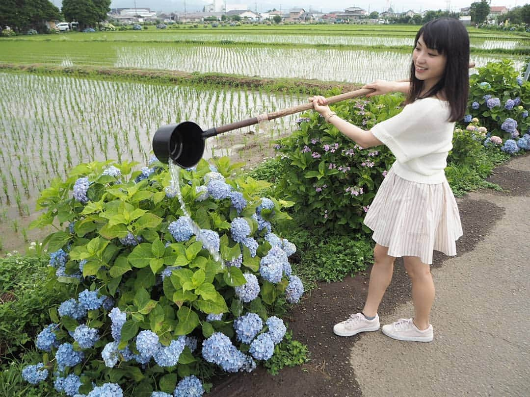 伊藤桃さんのインスタグラム写真 - (伊藤桃Instagram)「「小田急全駅ものがたり」読んでいただけましたか？🙏 今日は、小田急線開成駅にて行われている#開成町あじさいまつり に妹といってきました(^^) * 列車に乗りながら…何度も何度も取材で行き来したことを思い出してとても懐かしかったです。 一駅一駅ほんとに思いいれがあります🙏 * 開成駅におりたのも久々！ 急行がとまるようになってからは初です(^^) * 2枚目:#3100形 NSEのロンちゃん✨ お色直ししてから初めて会えました(^^) 紫陽花に彩られてました♪ * 5枚目:てへ♥ * 6.7枚目:広がる田園風景に、紫陽花…✨ 曇天も梅雨というかんじでまたよし！ * 8、9枚目:いたるところに水路から水をくんで、お花にお水をあげることができるひしゃくがありました。 * 10枚目:かえるさん(^^)」6月8日 22時40分 - itomomo_tetsu