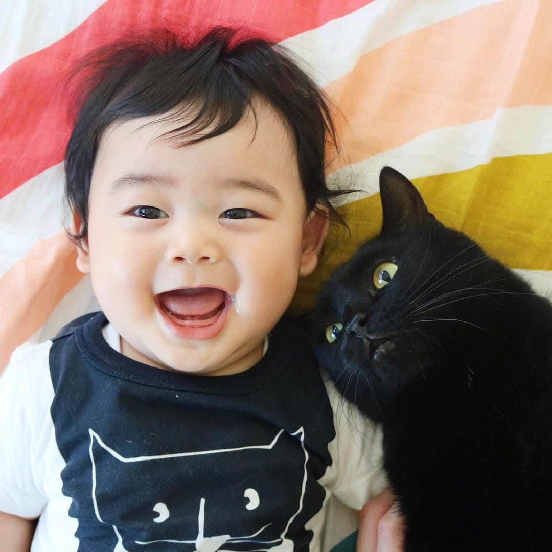 ギネス & ピムスさんのインスタグラム写真 - (ギネス & ピムスInstagram)「08/06/2019 Happy #Caturday ! ・ Nagi says, Look at my t-shirt! Two matching black cats! Have a nice weekend! ・ ・ お兄ちゃんみたいな 黒猫Tシャツ着てご機嫌な凪くん。 妊娠中、1番はじめに欲しくて買った服が これでした。笑 夏くらいに着れたらいいなと サイズを予想して買った思い出の服。 知らぬ間にぴったり👀 1週間前に撮った写真だけど、 この後もう一本歯が生えてきて、 今は2本に！ ワンオペ終了したら離乳食再開せねば。老け込む。 それでは皆さま素敵な週末を♬ ・ ・ #ギネスくん #ギネピムと凪くん  #生後6ヶ月 #6monthsold #babyboy #男の子ベビー #赤ちゃんのいる生活 #赤ちゃんのいる暮らし #赤ちゃんと猫」6月8日 22時42分 - rina_takei