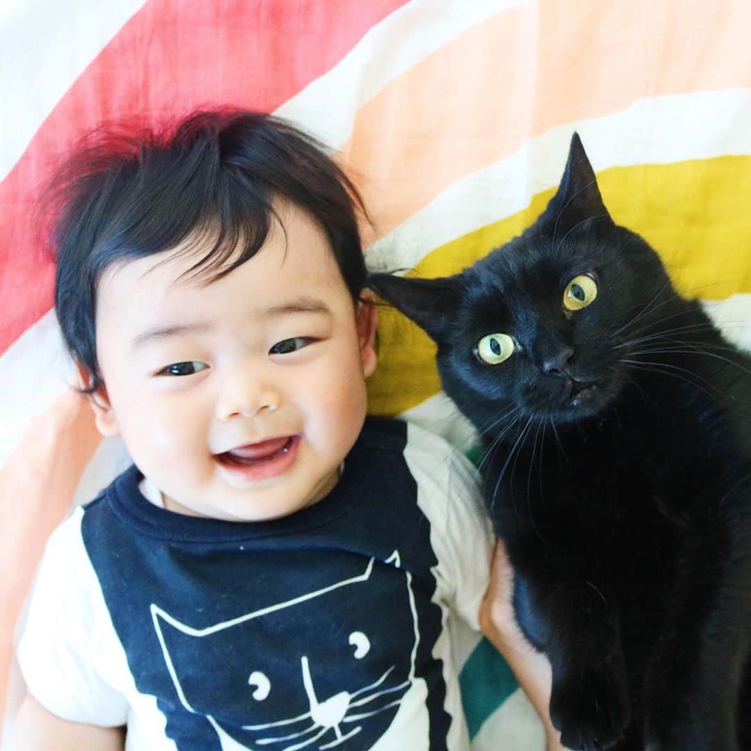 ギネス & ピムスさんのインスタグラム写真 - (ギネス & ピムスInstagram)「08/06/2019 Happy #Caturday ! ・ Nagi says, Look at my t-shirt! Two matching black cats! Have a nice weekend! ・ ・ お兄ちゃんみたいな 黒猫Tシャツ着てご機嫌な凪くん。 妊娠中、1番はじめに欲しくて買った服が これでした。笑 夏くらいに着れたらいいなと サイズを予想して買った思い出の服。 知らぬ間にぴったり👀 1週間前に撮った写真だけど、 この後もう一本歯が生えてきて、 今は2本に！ ワンオペ終了したら離乳食再開せねば。老け込む。 それでは皆さま素敵な週末を♬ ・ ・ #ギネスくん #ギネピムと凪くん  #生後6ヶ月 #6monthsold #babyboy #男の子ベビー #赤ちゃんのいる生活 #赤ちゃんのいる暮らし #赤ちゃんと猫」6月8日 22時42分 - rina_takei