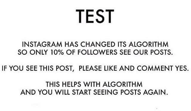 マイケル・マラーキーのインスタグラム：「I don’t know if this is real or not and frankly my dear I don’t really give a damn, but let’s put it to the test! Comment Yes or ask me a question and I will answer the fun ones. Have a great weekend algorithmers! 😜」