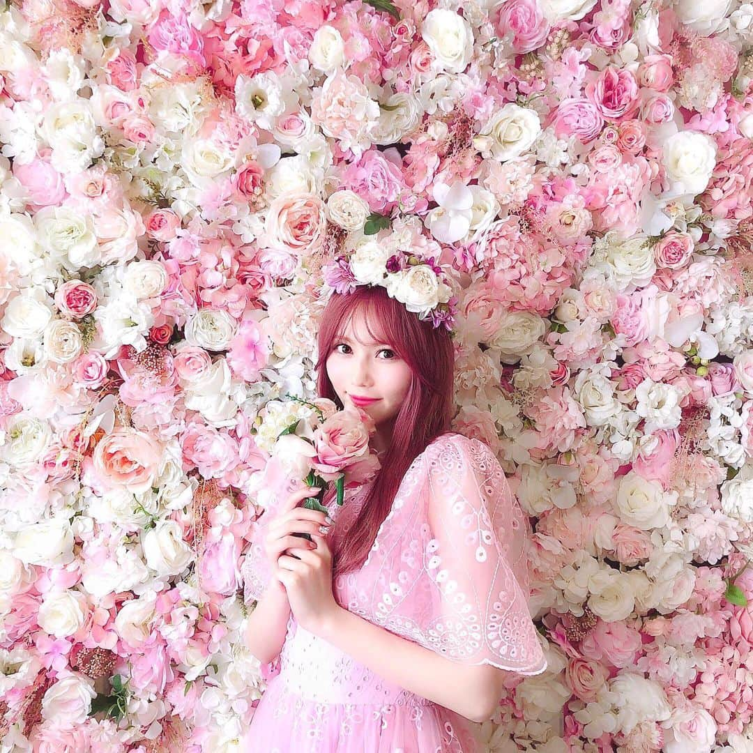 込山榛香さんのインスタグラム写真 - (込山榛香Instagram)「こーんなに可愛いお花の壁が🌸🌸 ﻿ ﻿ ﻿ #lovinher #韓国 #韓国旅行 #海外旅行 #弘大入口 #한국 #seoul #🇰🇷 #韓国カフェ #ソウルカフェ #弘大カフェ #カフェ巡り #フラワー #한국카페 #플라워 #케익류 #라떼류」6月8日 23時29分 - komiharu_official