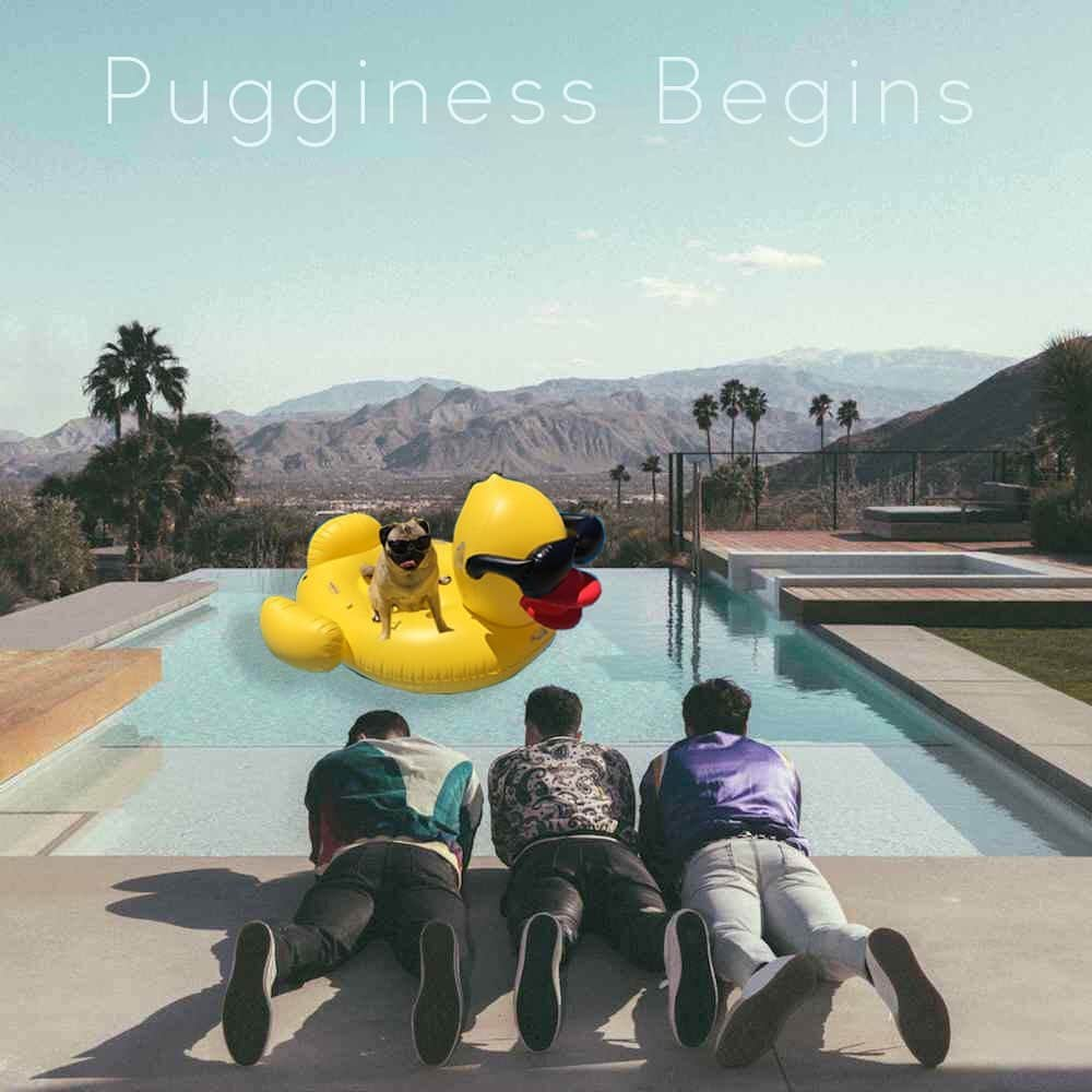 itsdougthepugさんのインスタグラム写真 - (itsdougthepugInstagram)「‪”Pugginess Begins” -Doug • Congrats to my friends @jonasbrothers on their new amazing album #happinessbegins ‬💛」6月8日 23時38分 - itsdougthepug