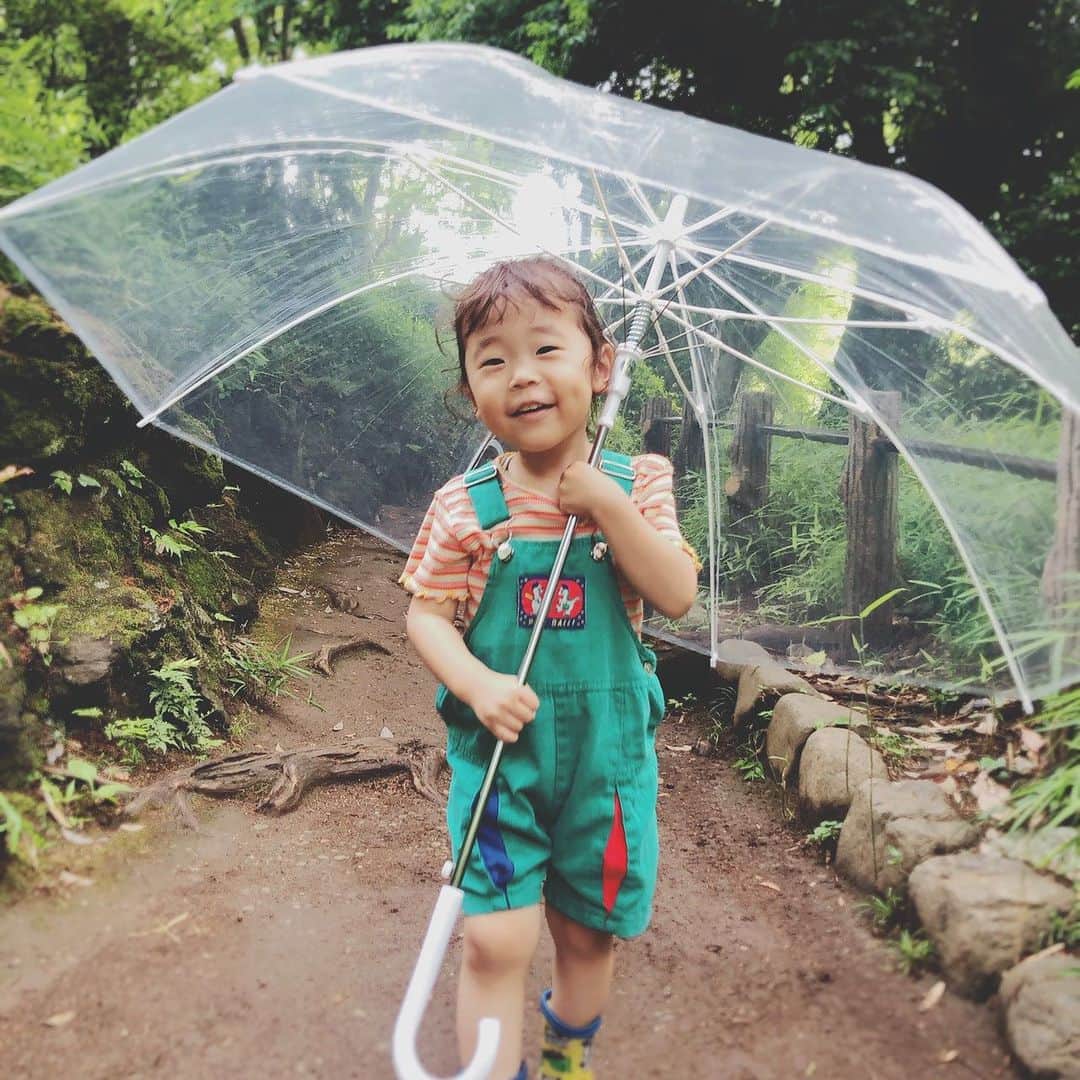 家入一真のインスタグラム：「あめふりくまのこ かけてきて」
