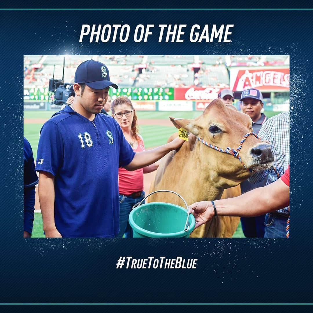 シアトル・マリナーズさんのインスタグラム写真 - (シアトル・マリナーズInstagram)「Kicking off the road trip with a dub. #GoMariners」6月8日 14時55分 - mariners