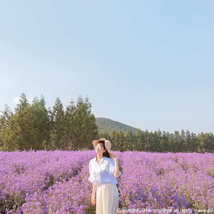 innisfree official (이니스프리) さんのインスタグラム写真 - (innisfree official (이니스프리) Instagram)「Taking pictures to capture a peaceful moment in the purple canola flower field ⠀⠀⠀ 향기로운 보랏빛 유채꽃밭에서 나만의 인생샷 남겨보기📸」6月8日 15時00分 - innisfreeofficial