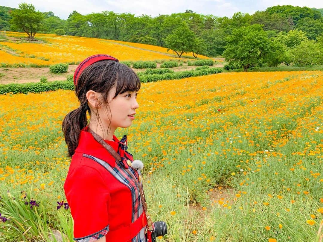 福原遥さんのインスタグラム写真 - (福原遥Instagram)「. 🌷🌷🌷 今夜はもしツア！ ゲストに #大塚千弘 さんをお迎えし、日本の 名所を空中散歩 第3弾！1000万本が咲き誇る！ 秩父・天空のポピーツアーへ行ってきました🌷︎ こんなに感動したお花畑は初めてでした！ 是非、皆さんにも観ていただきたいです︎︎︎︎︎☺︎ 18時30分から！ #もしもツアーズ #もしツア」6月8日 15時22分 - haruka.f.official