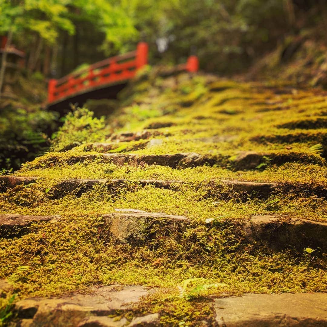City of Kyoto Official Accountのインスタグラム
