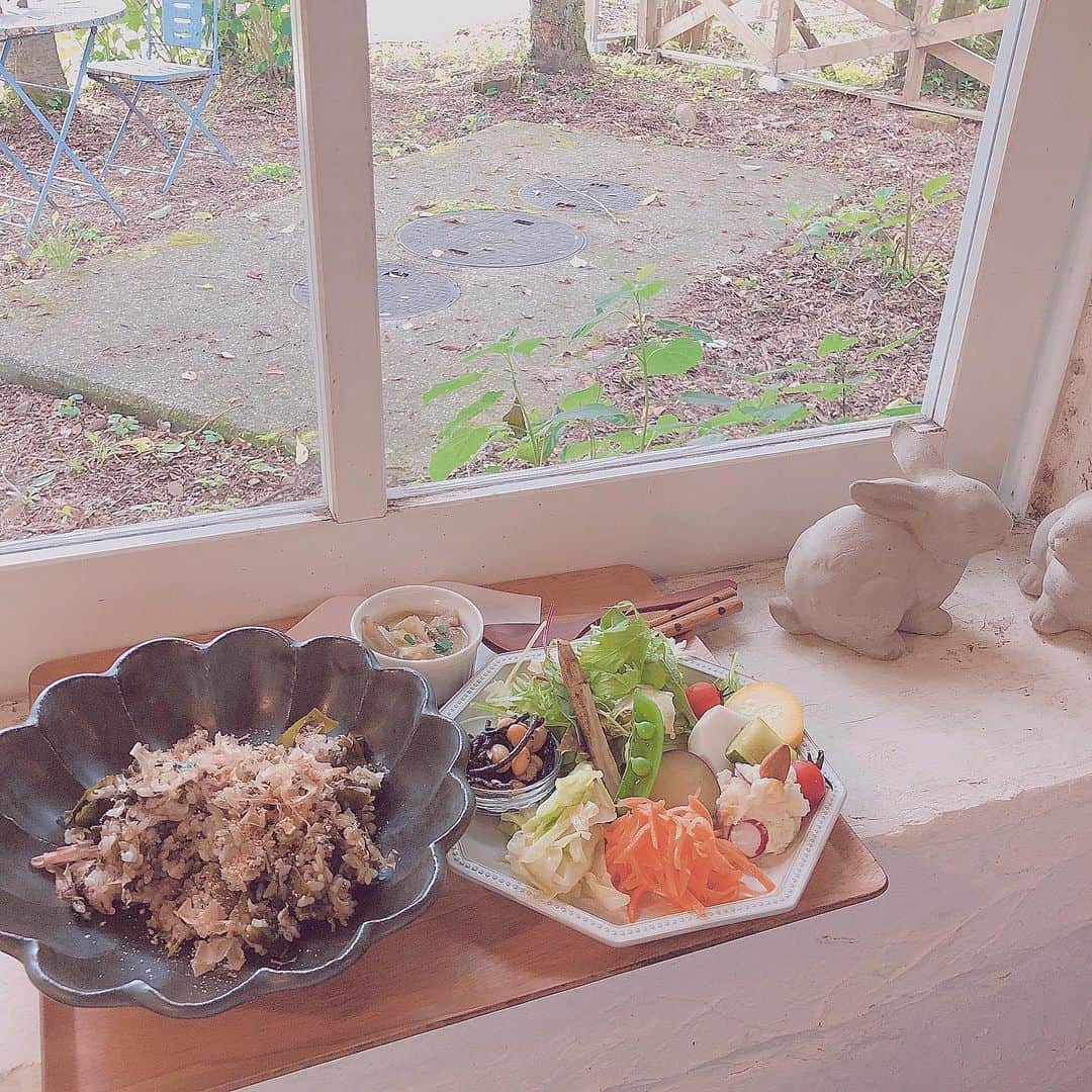 今吉めぐみのグルメインスタ