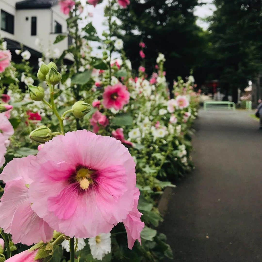 山田みおのインスタグラム