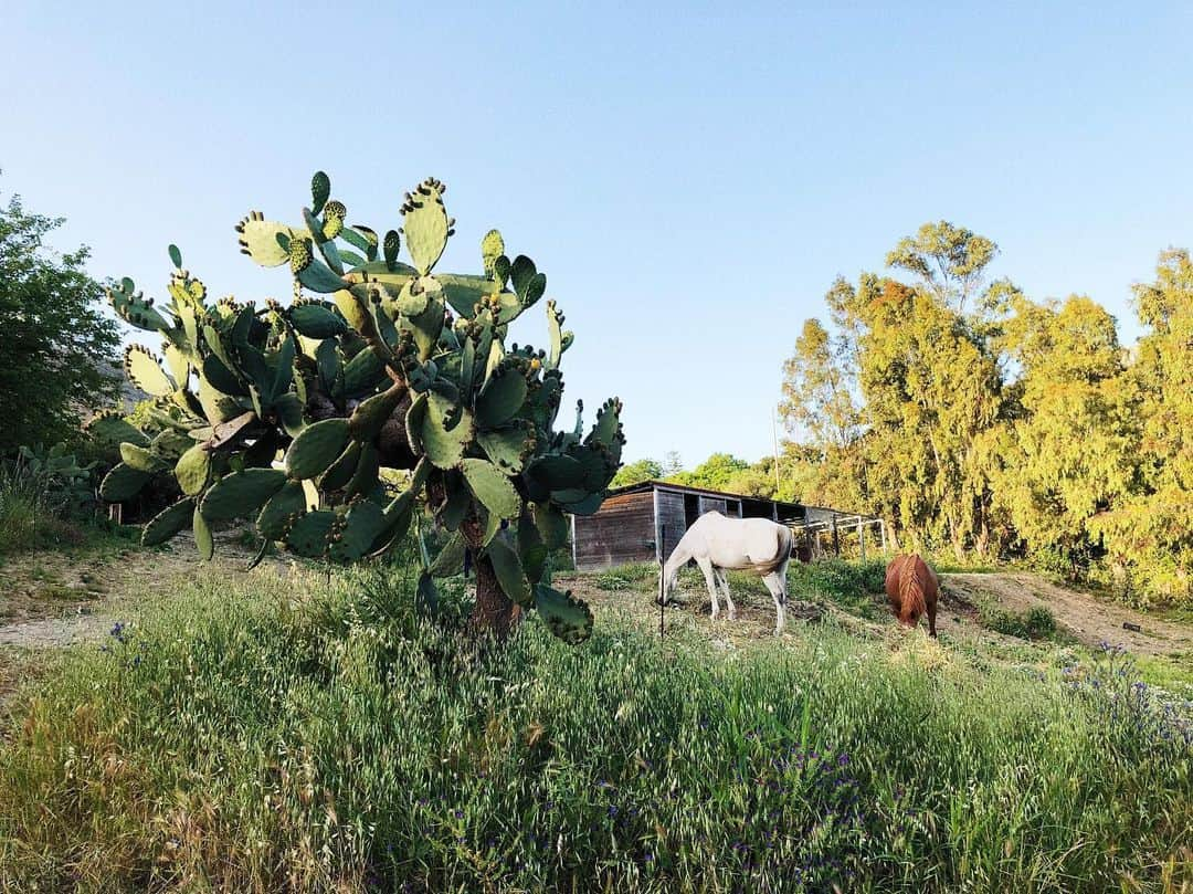 Estée Lalondeさんのインスタグラム写真 - (Estée LalondeInstagram)「Good morning from Italy 👋🇮🇹 A few months ago I decided to finally tick off my New Year’s resolution (from 2018 oops) to do a yoga retreat! I was weirdly nervous because I had no idea what to expect. Day 1 morning yoga was 👌 and I can’t wait to see what else we get up to. Stay tuned... 🧘🏼‍♀️ #Namestée #RefinedRetreat #ELtravels」6月8日 17時22分 - esteelalonde