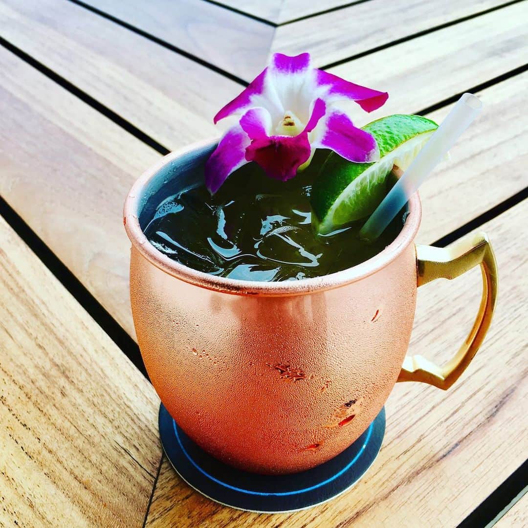 Trump Waikikiさんのインスタグラム写真 - (Trump WaikikiInstagram)「We have new copper cups filled with organic Maui Ocean Vodka, real ginger puree, lime juice and sparkling water.  That's our concoction of a Maui Mule cocktail during Happy Hour at Wai’olu Ocean Cuisine. #trumpwaikiki #neversettle #waioluoceancuisine #mauimule #mauioceanvodka  オーガニックのマウイ・オーシャン・ウォッカ、ジンジャーピューレ、ライムジュースをミックスしたカクテル”マウイ・ミュール”。ワイオル・オーシャン・キュイジーヌでお楽しみください。#トランプワイキキ#ワイオルオーシャンキィジーヌ#カクテル」6月8日 17時36分 - trumpwaikiki